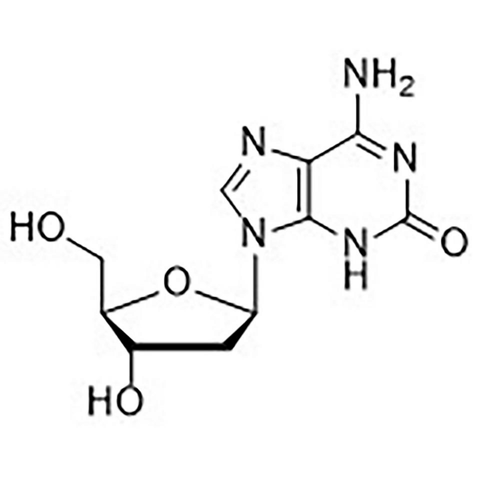 2'-Deoxyisoguanosine